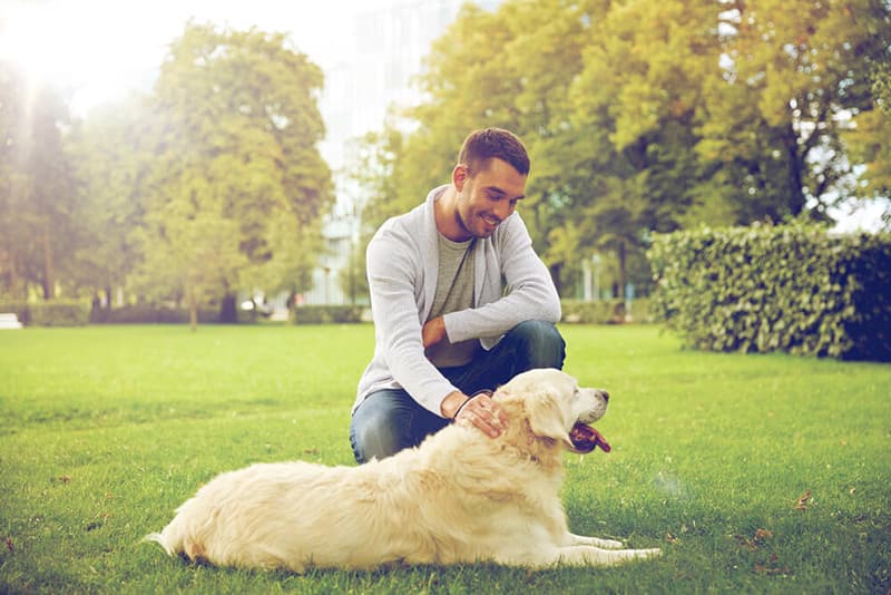 Useful Home Features For Pet Owners
