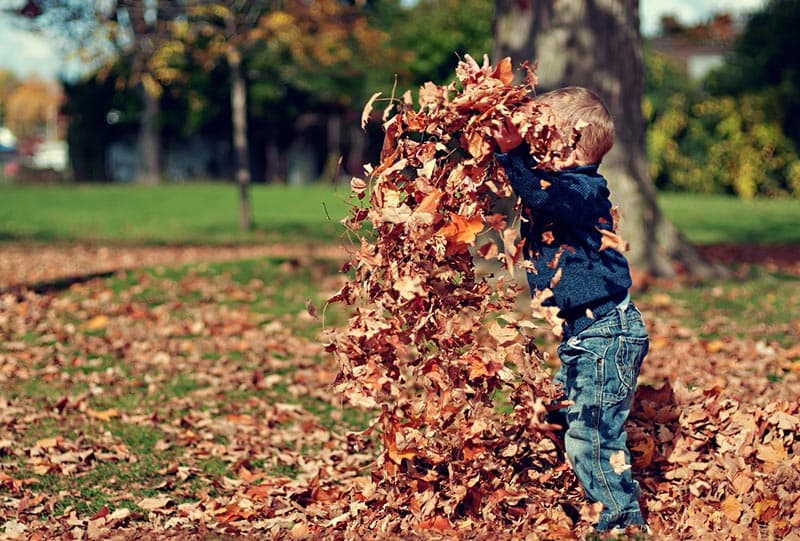 Autumn Home Maintenance Tasks