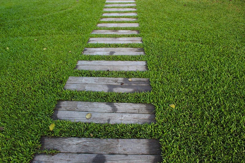Tips To Prepare Your Florida Lawn For Winter