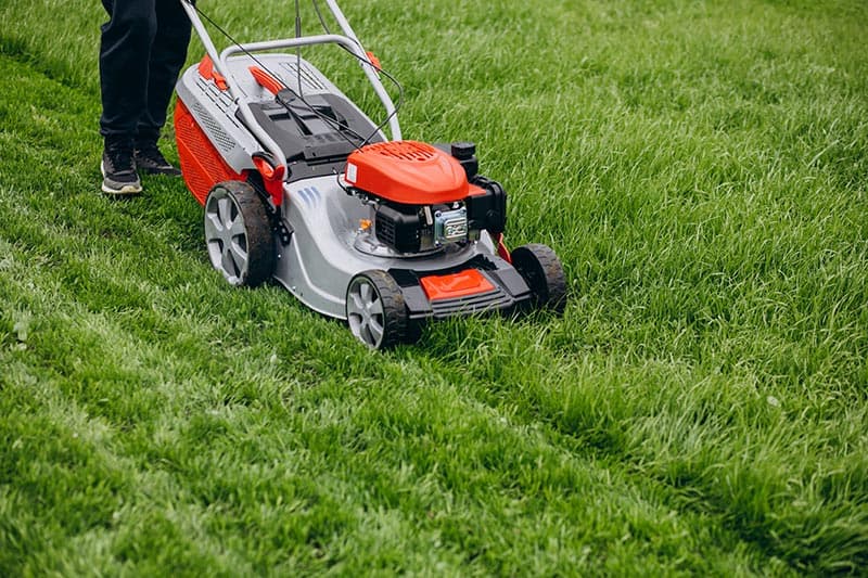 Fall Yard Work Tips