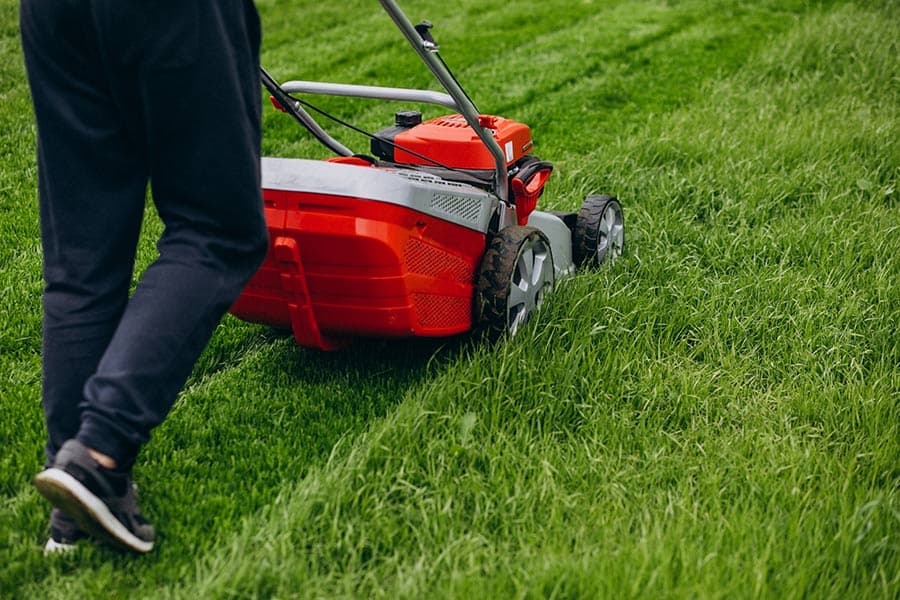 Lawn Love, Naturally