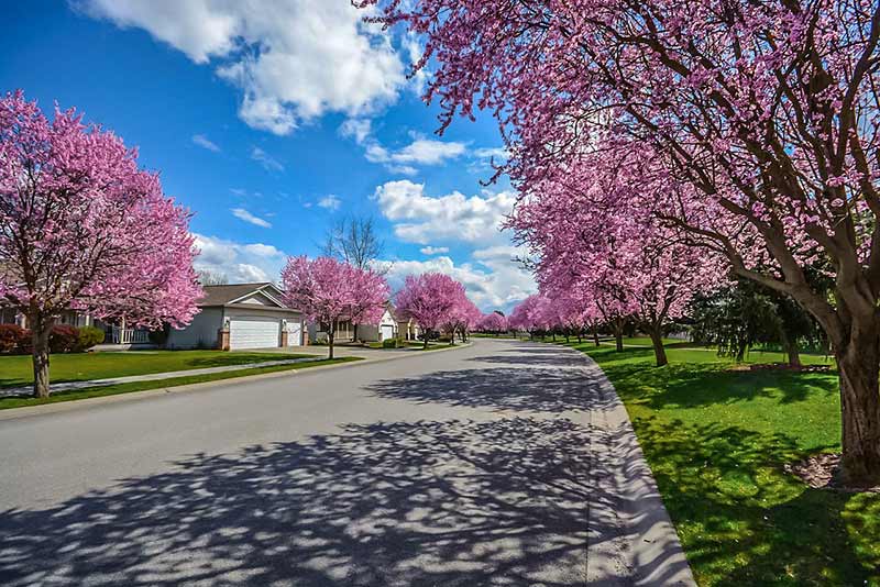 Spring Home Maintenance Checklist