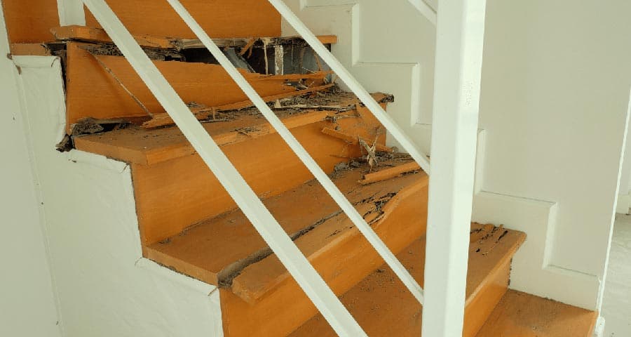 Signs Your Florida Home May Have Termites