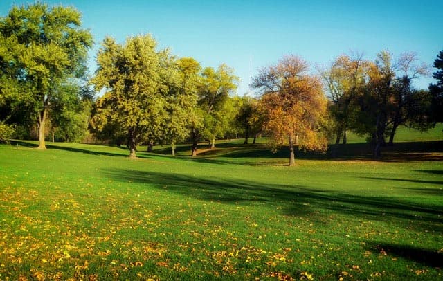 Five Lawn Maintenance Tips for Fall
